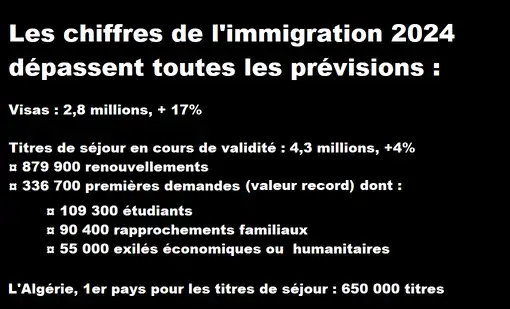 Les chiffres de l’immigration 2024 dépassent toutes les prévisions