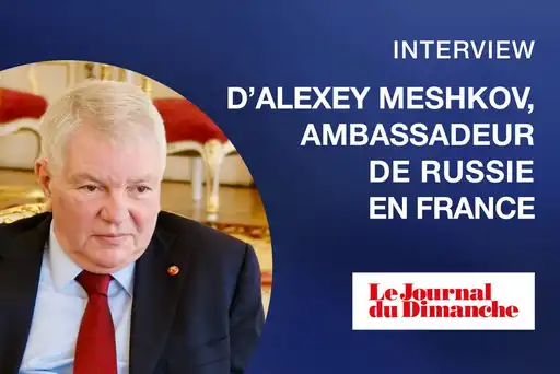 Alexey Meshkov, Ambassadeur de Russie
