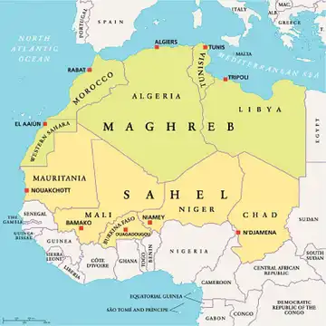 Réunion des ministres des Affaires étrangères du Mali, Burkina Faso et Niger avec le roi Mohammed VI à Rabat​