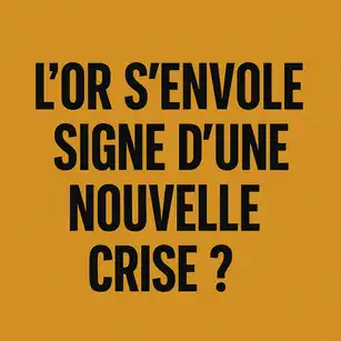 L’évolution du prix de l’or pendant la crise de 2008 illustre son rôle de valeur refuge.