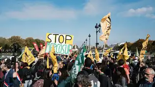 Manifestation en France avec une pancarte “Stop Mercosur” brandie parmi des drapeaux écologistes.