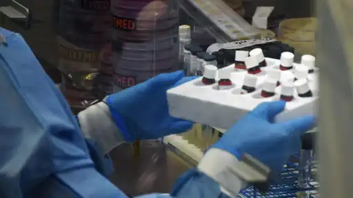 Scientifique en blouse bleue manipulant un plateau de flacons médicaux dans un laboratoire.