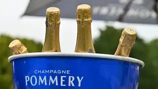 Trois bouteilles de champagne Pommery aux cols dorés refroidissant dans un seau bleu vif en extérieur.