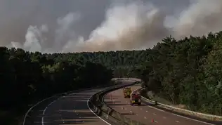 Vue d'une autoroute déserte bordée de forêts d'où s'élèvent d'immenses nuages de fumée blanche et grise.