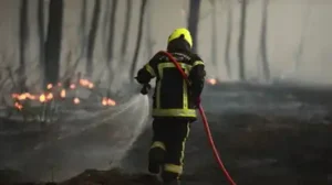Pompier en tenue de protection arrosant des braises dans une forêt ravagée par les flammes.