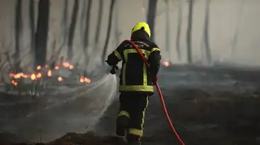 Pompier en tenue de protection arrosant des braises dans une forêt ravagée par les flammes.